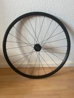 Giant PR2 Disc Rennrad Laufradsatz Thüringen - Erfurt Vorschau