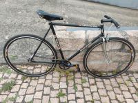 Singlespeed Retro Fixie Europa Super fast 2000 Nürnberg (Mittelfr) - Nordstadt Vorschau