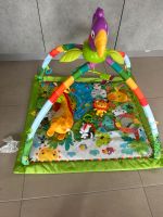 Spielbogen mit Musik Fisherprice Baden-Württemberg - Leonberg Vorschau