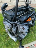 Motor Audi VW 2,0 TFSI A3 GOLF V GTI AXX BWA 200PS KOMPLETT Rheinland-Pfalz - Waldalgesheim Vorschau