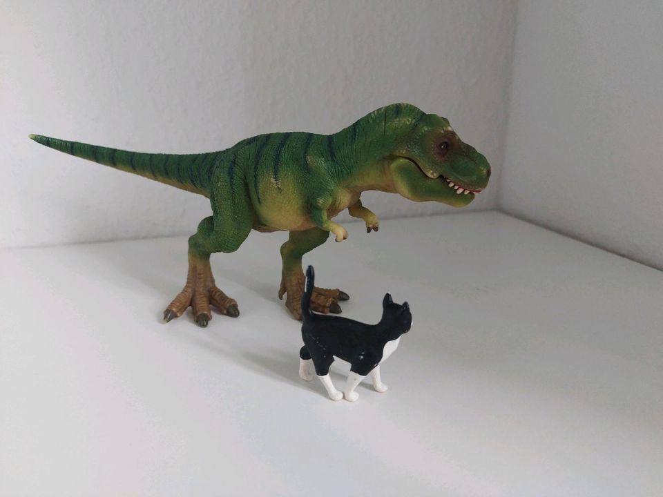 Tip Toi T-Rex und Katze in Ahrenshöft