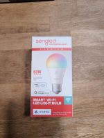 E27 LED Smart Home multicolor Hessen - Rodenbach Vorschau