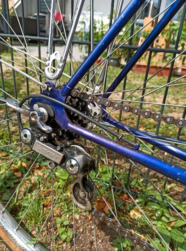 Peugeot Reise Rennrad Fahrrad, Stahl Rahmen Qualität, Rarität in Karlsruhe