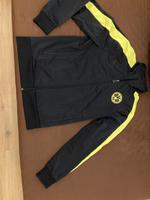 BVB Trainingsjacke Brandenburg - Schönwerder (Prenzlau) Vorschau