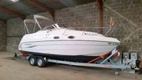 Motorboot Stingray 240 CS Baujahr 2007 Hessen - Nauheim Vorschau