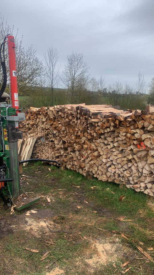 Lohnspalten, Brennholz , Aufarbeitung, Holzspalter in Brackenheim