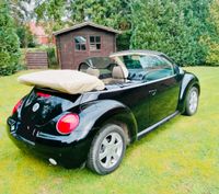 VW Beetle Cabrio schwarz beige EZ 2004  102 PS Nordrhein-Westfalen - Emsdetten Vorschau