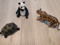 Schleich Panda Pandabär Löwe Schildkröte Nordrhein-Westfalen - Bad Oeynhausen Vorschau
