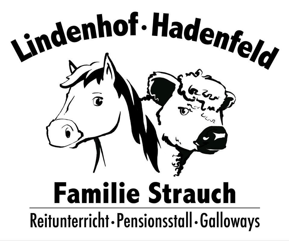 Reitunterricht •Trainer B • Reitschule in Hadenfeld