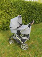 Kinderwagen ABC Design Salsa 4 "Top Zustand" München - Milbertshofen - Am Hart Vorschau