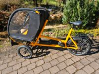 Chike Bike - E-Bike für die City und mehr... Baden-Württemberg - Wildberg Vorschau