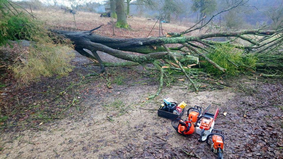 Ich suche Brennholz, Ofenholz, Kaminholz, Feuerholz, Stammholz in Unkel