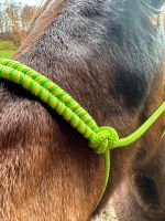 Knotenhalfter Größe Pony zu verkaufen Rheinland-Pfalz - Utscheid Vorschau