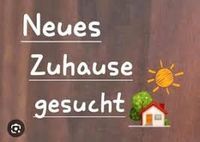 Familie sucht Haus in Moorriem,Rastede,Wiefelstede,Hahn Lehmden Niedersachsen - Rastede Vorschau