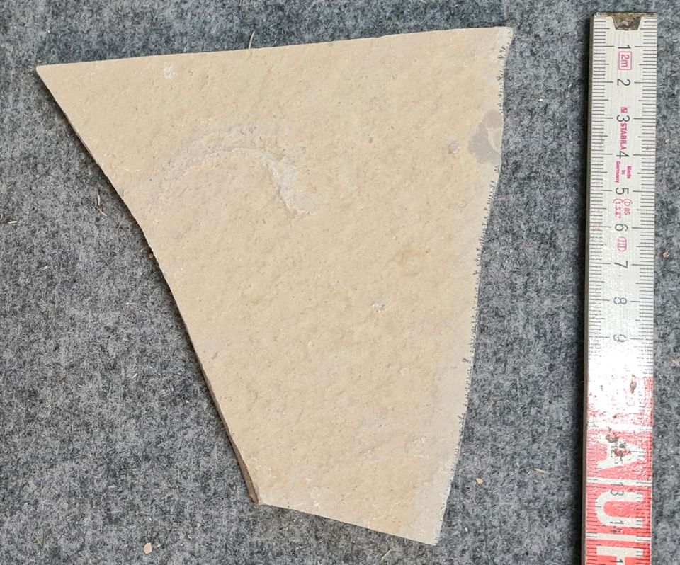 Kalksteinplatten aus Sollnhofen ca 3-5mm dick in Wehringen