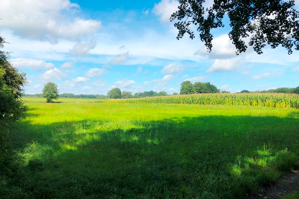 Landwirtschaftliche Fläche in Randlage von Cloppenburg in Cloppenburg