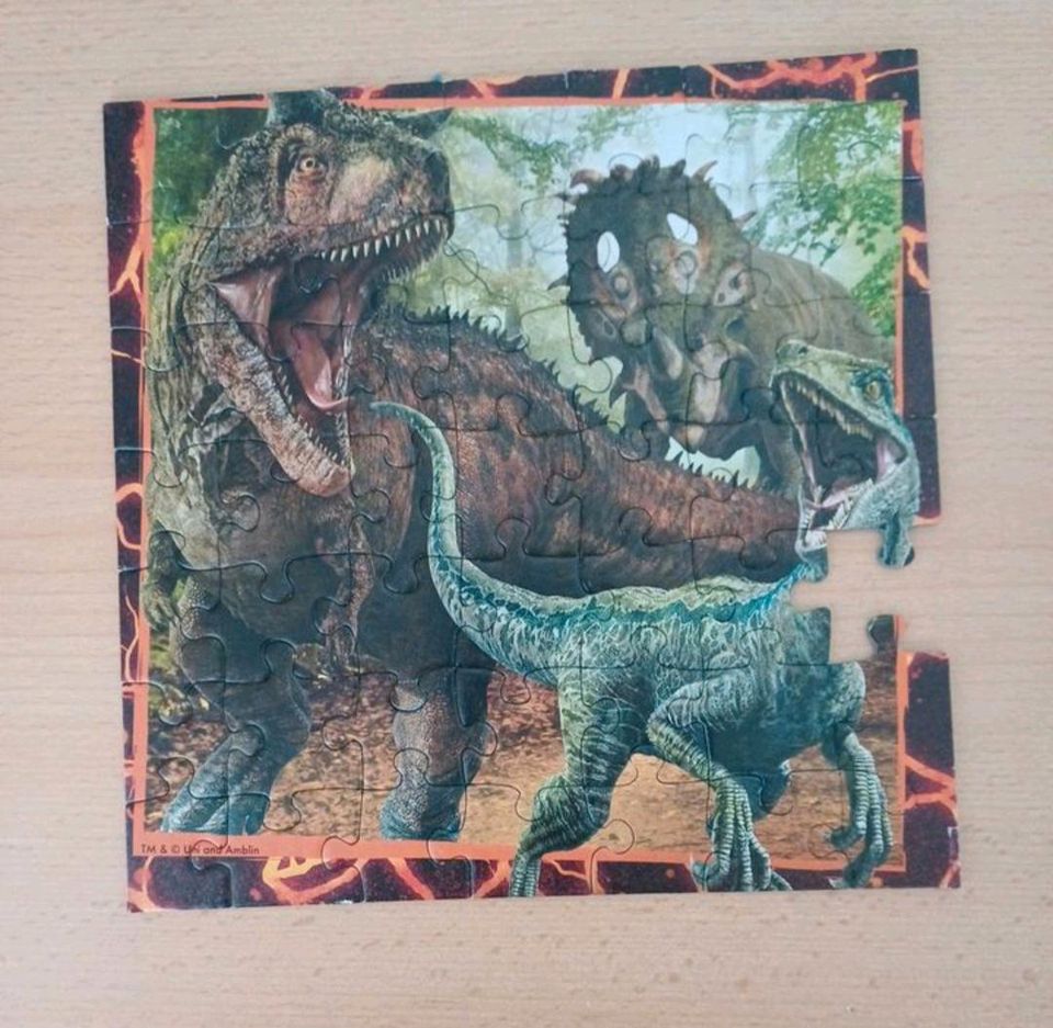 Puzzle Dinosaurier in Telgte