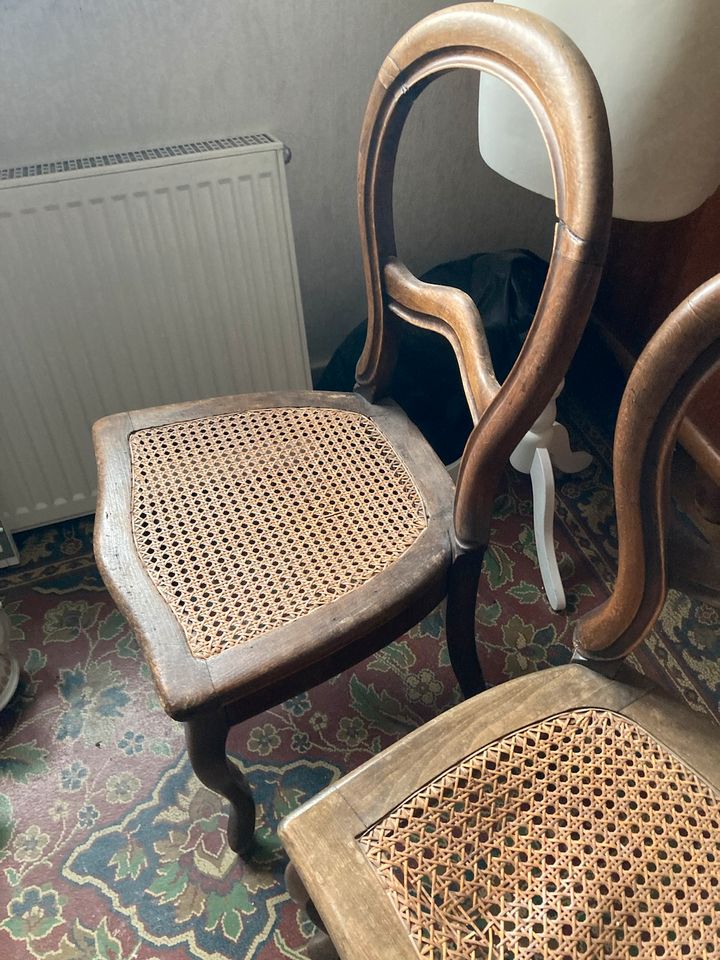 2 antike historische Stühle vintage, Wiener Gefleckt in Herxheim bei Landau/Pfalz