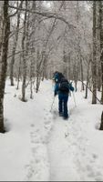 Schneeschuh / Tourenski Verleih / Vermietung / Touren Baden-Württemberg - Grenzach-Wyhlen Vorschau