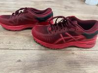 Asics MetaRun Laufschuhe - gebraucht Chemnitz - Zentrum Vorschau