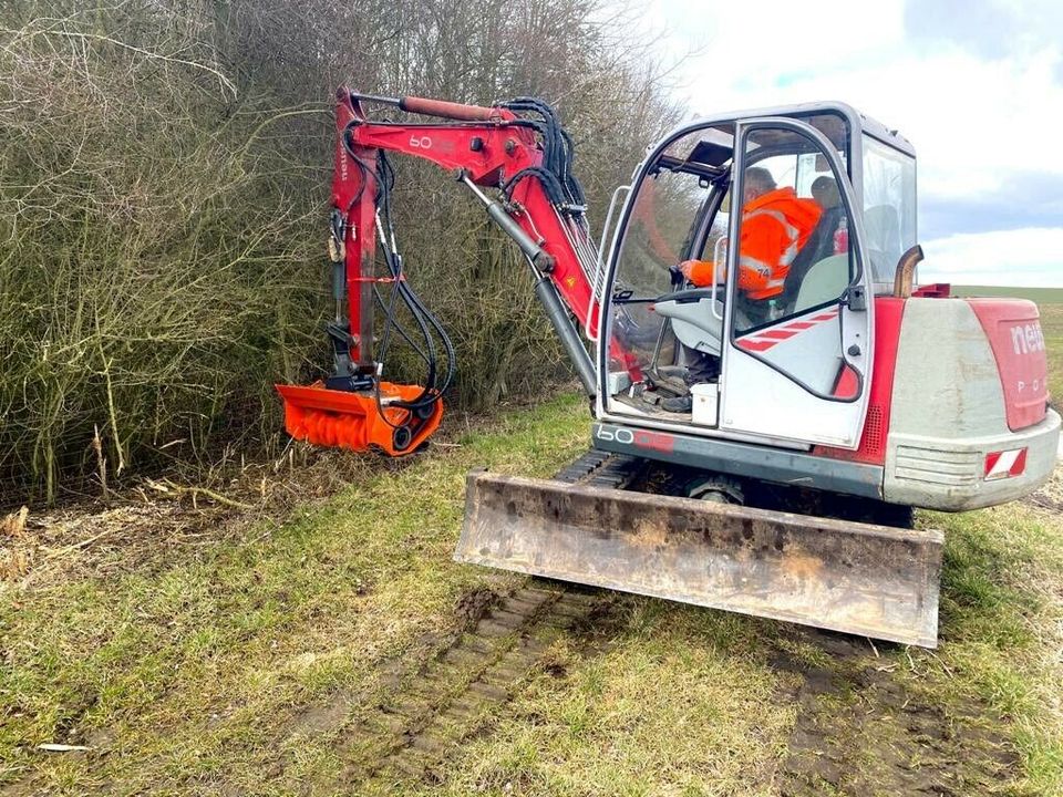 Landschaftspflege Forstmulcher Mähraupe Neuanlage Rasen Fräse in Woldegk