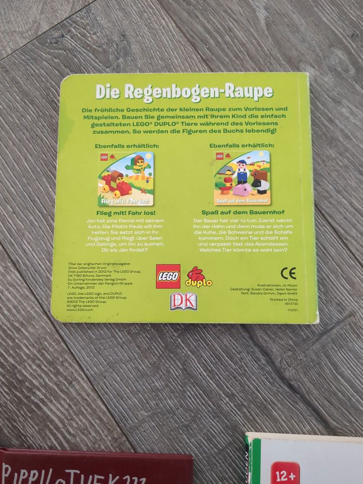 Bilderbuch Vorlesebuch Kinderbuch SET Lego Prinzessin in Gevenich Eifel