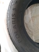 Barum Polaris 5 Winterreifen 205/60 R16 H 5mm Profil Hessen - Dreieich Vorschau