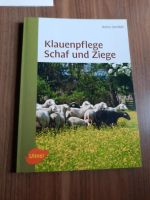 Klauenpflege Schaf und Ziege Brandenburg - Finsterwalde Vorschau