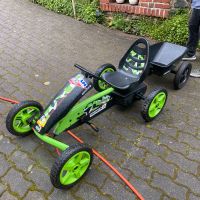 Berg Toys Pedal Go Kart „Force“ + Anhänger „Junior“ Sachsen - Lichtenstein Vorschau