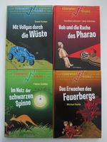Bücher-Set: Codewort Risiko – ab 7 Jahren – Kinder-Krimis Bayern - Erlangen Vorschau