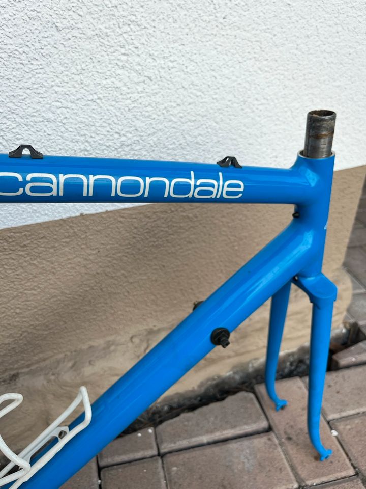 Cannondale Rennrad Rahmen 28“ Shimano 600 SIS Rh59cm in Ludwigshafen