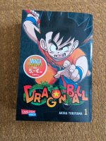 Manga Dragonball 1 massive - Wie neu Bonn - Buschdorf Vorschau