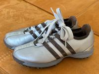 Adidas Golfschuhe Damen silber/braun Gr. 38,5 sehr guter Zustand! Essen - Rüttenscheid Vorschau