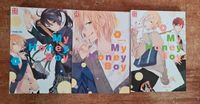 My Honey Boy 1-3, Manga, KAZE Rheinland-Pfalz - Trier Vorschau