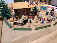 Playmobil Streichelzoo 3638 Saarland - Nalbach Vorschau