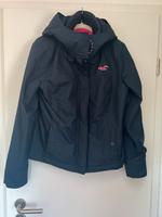 Hollister Jacke Damen, Gr. L Niedersachsen - Emden Vorschau