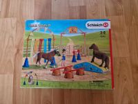 Schleich Farm World 42481 Pony Agility Training Baden-Württemberg - Wilhelmsdorf Vorschau