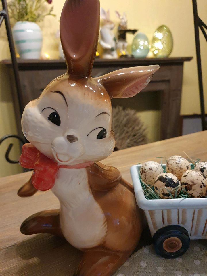 Hase  osterhase  loberon  pallazo göbel in Weißenfels