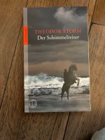 Der Schimmelreiter von Theodor Storm Eimsbüttel - Hamburg Eimsbüttel (Stadtteil) Vorschau