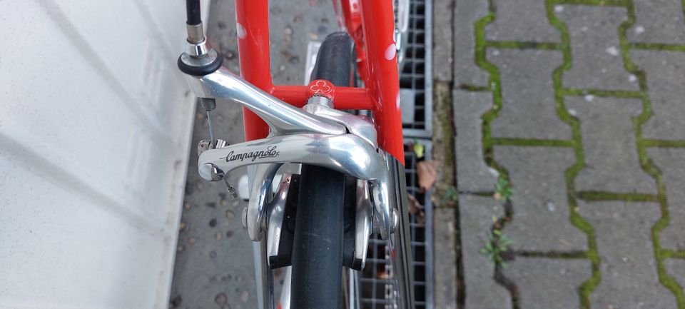 Colnago Master Olympic Campagnolo Record und Shamal in Frankfurt am Main