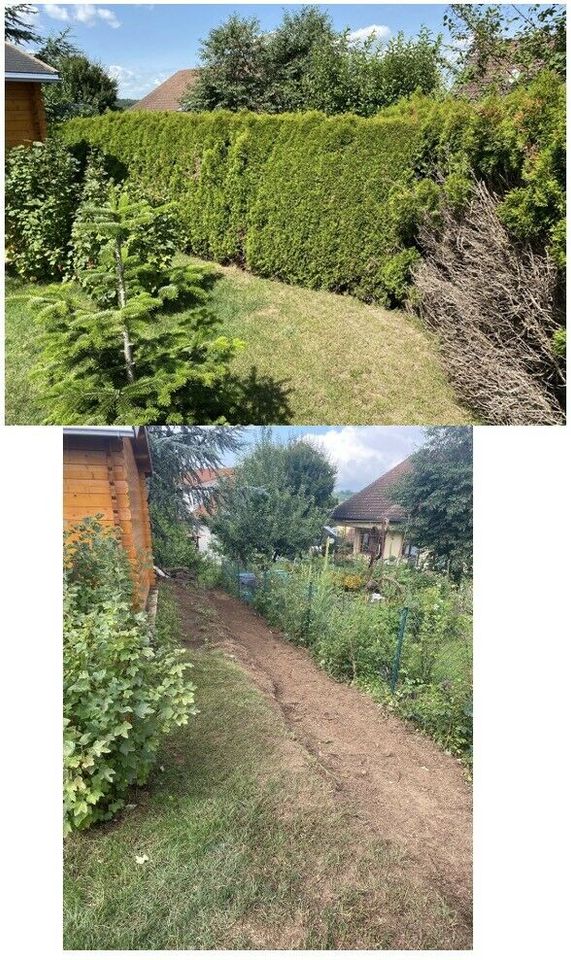 Heckenentfernung Baumfällungen CKu Gartenpflege … in Oberkochen