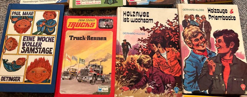 13 verschiedene Kinderbücher „Holzauge“, „Das Sams“, „Jojo“ in Dortmund