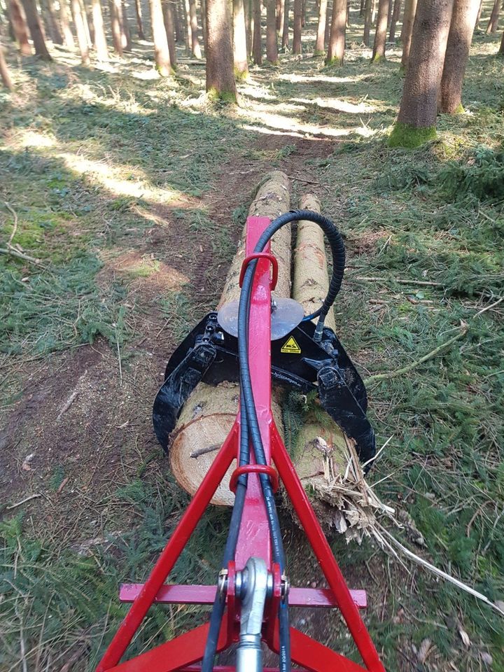 ❗Baumfällung Problembaum fällen Hecke entfernen roden in Bruckberg bei Landshut