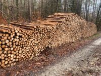 Stammholz-Brennholz Buche-Fichte Hessen - Hirzenhain Vorschau