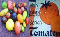 Tomaten,Gurke,Paprika...samenfeste historische und DDR Sorten Sachsen - Nossen Vorschau