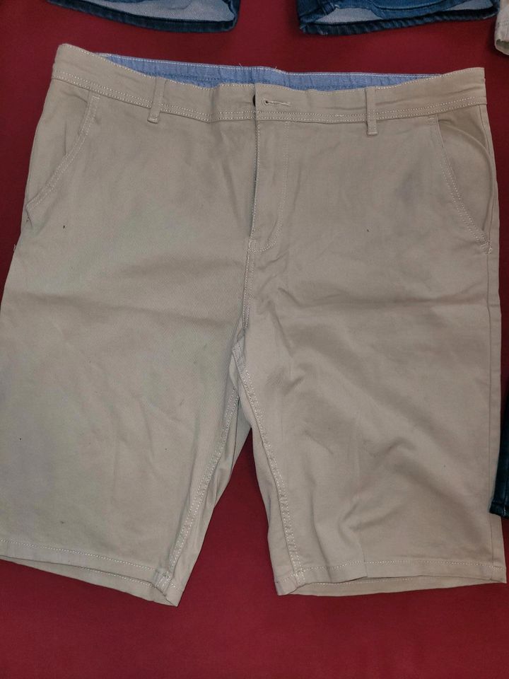 13 kurze Hosen Shorts XL/XXL 34 36 Hollister Jack Jones Scotch in Rengsdorf