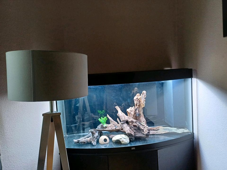 Aquarium Juwel vision 260 LED mit viel Zubehör und Unterschrank in Hamburg