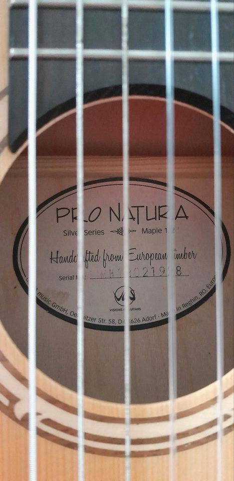 Gitarre - Pro Patura - silver series - maple 1/2 in Ibbenbüren