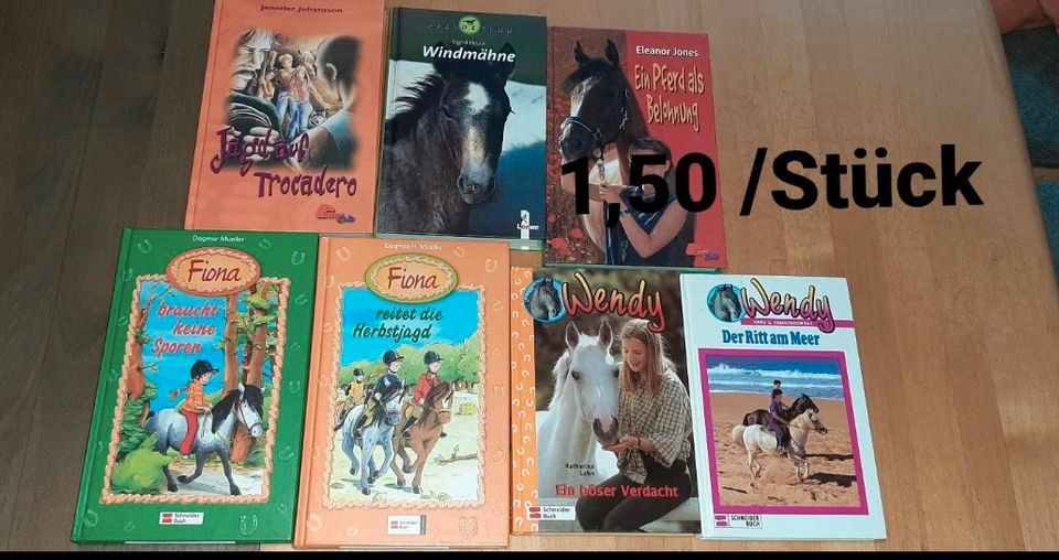 Kinderbücher Pferde in Hinte
