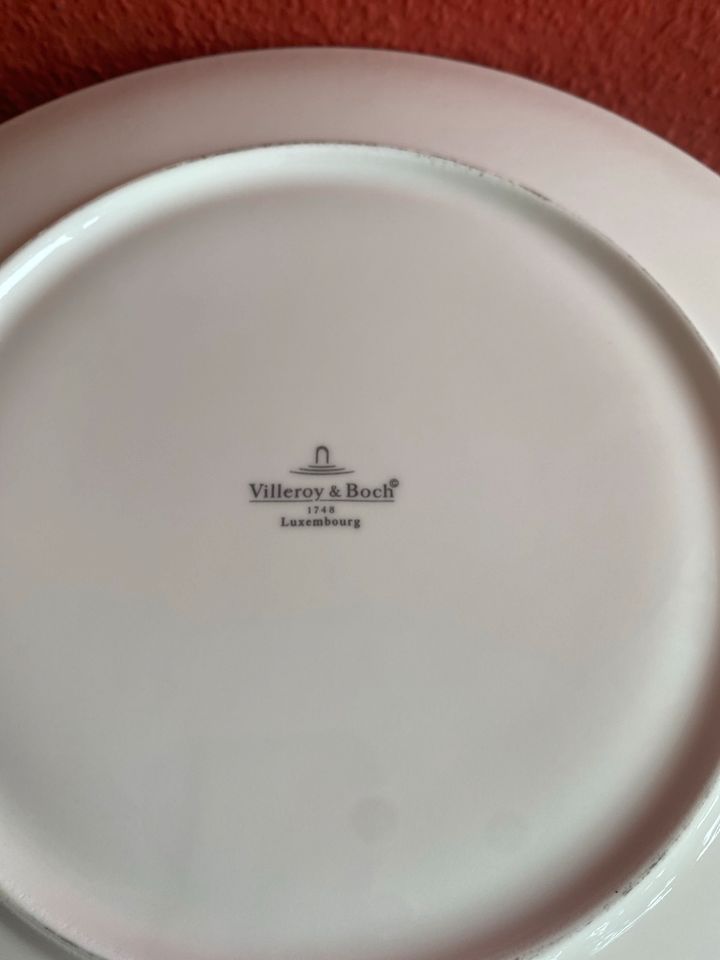 VILLEROY & BOCH AMANTI GOURMETTELLER ANTIPASTI TELLER NEU in Zell (Mosel)